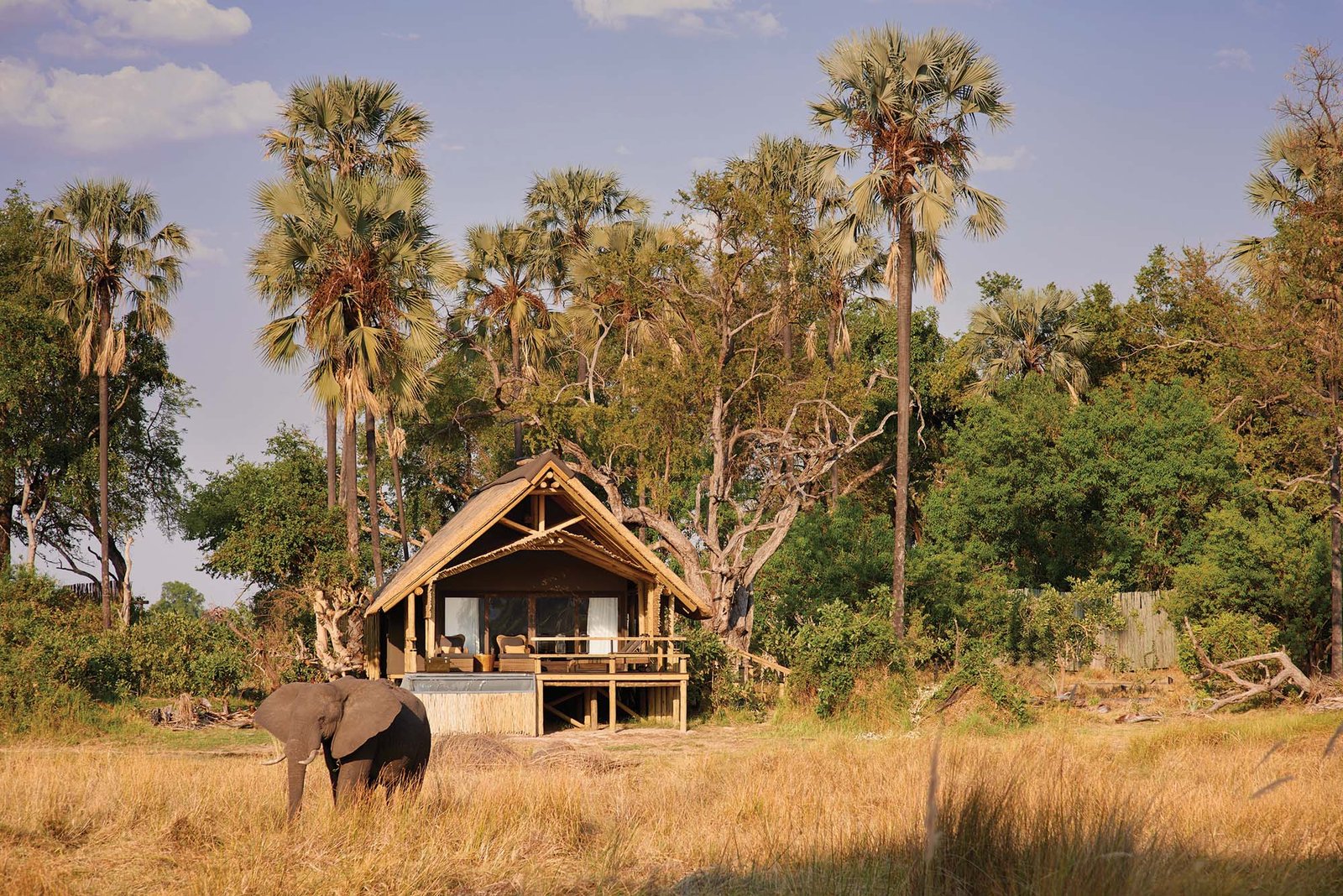 Belmond Safari, BOTSWANA